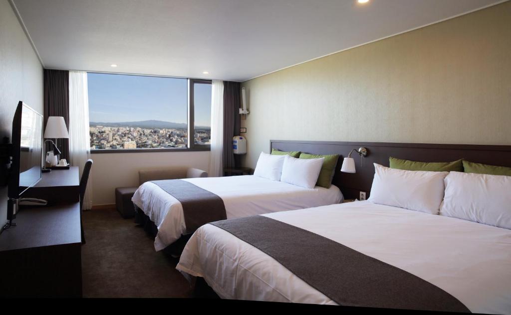 디럭스 트윈 → 프리미엄 트윈룸 (랜덤배정)(룸업그레이드)