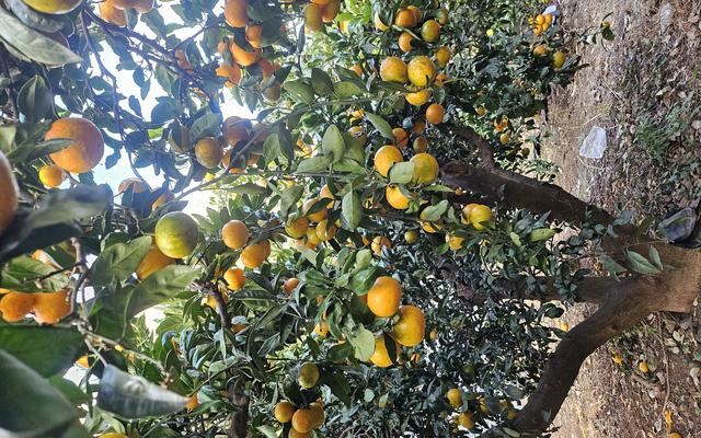 리뷰 대표 이미지