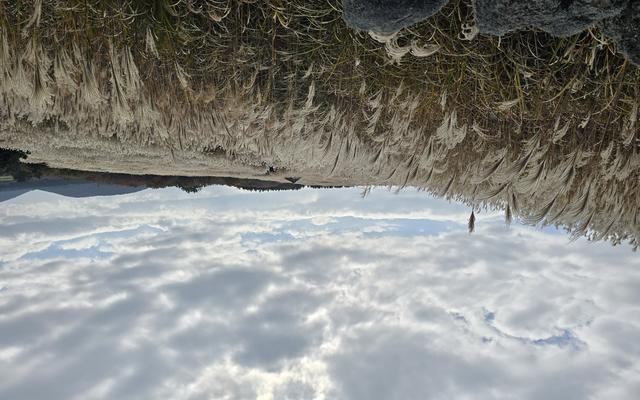 리뷰 대표 이미지