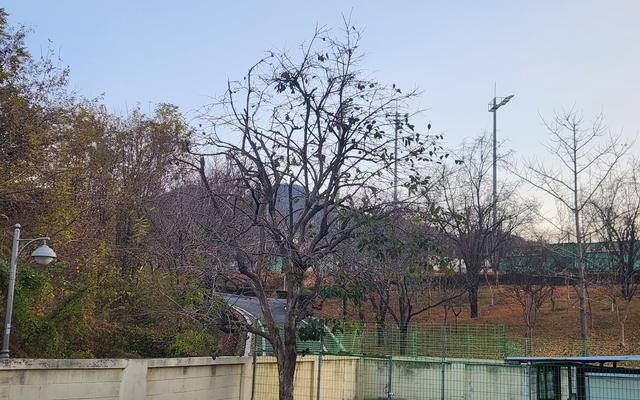 썸네일_2