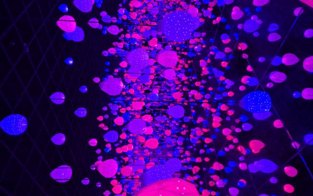 리뷰 대표 이미지