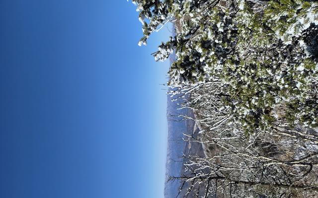 리뷰 대표 이미지