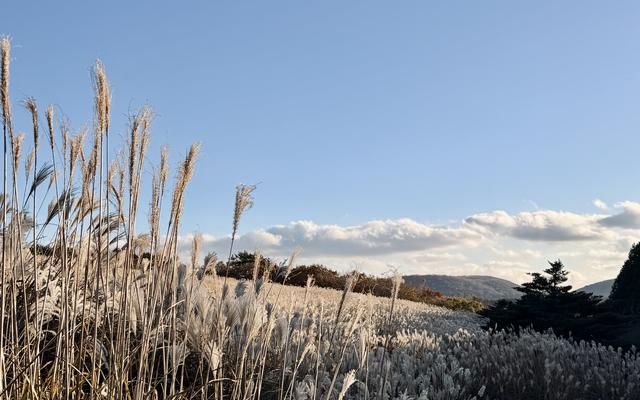 리뷰 대표 이미지