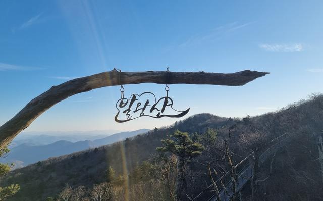 리뷰 대표 이미지