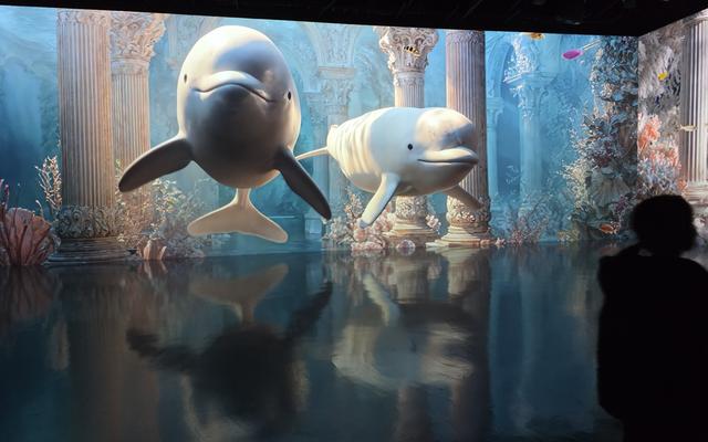 리뷰 대표 이미지