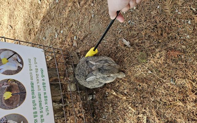 리뷰 대표 이미지