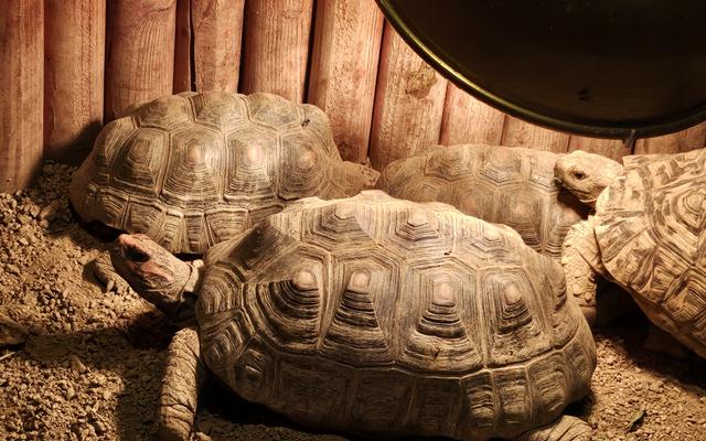 리뷰 대표 이미지