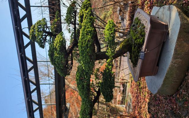 리뷰 대표 이미지