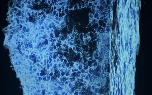 리뷰 대표 이미지