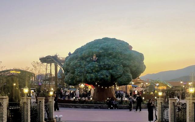 리뷰 대표 이미지