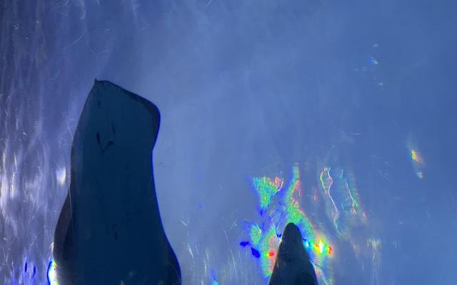 리뷰 대표 이미지