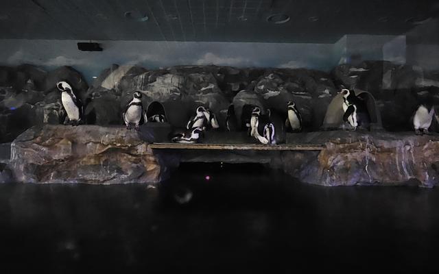 리뷰 대표 이미지