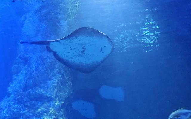 리뷰 대표 이미지