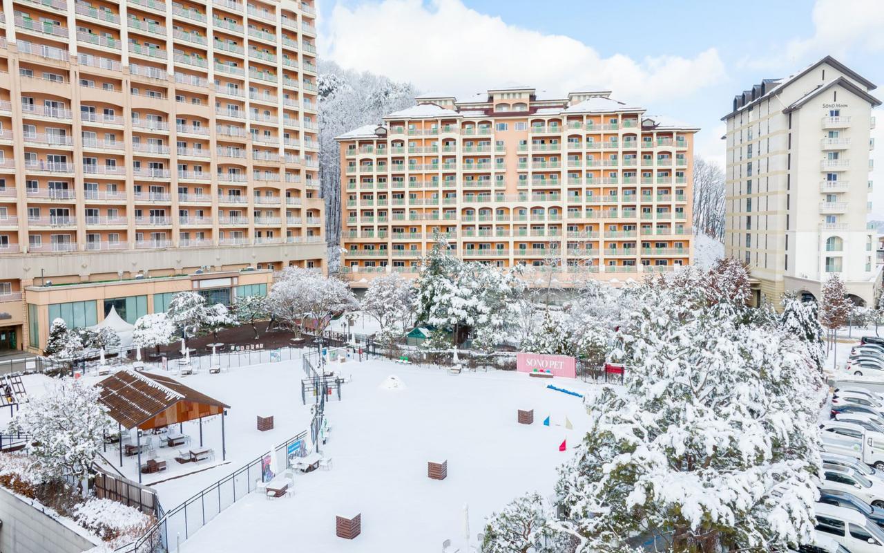 소노펫 비발디파크 호텔/리조트 사진, 가격, 위치소개 | NOL