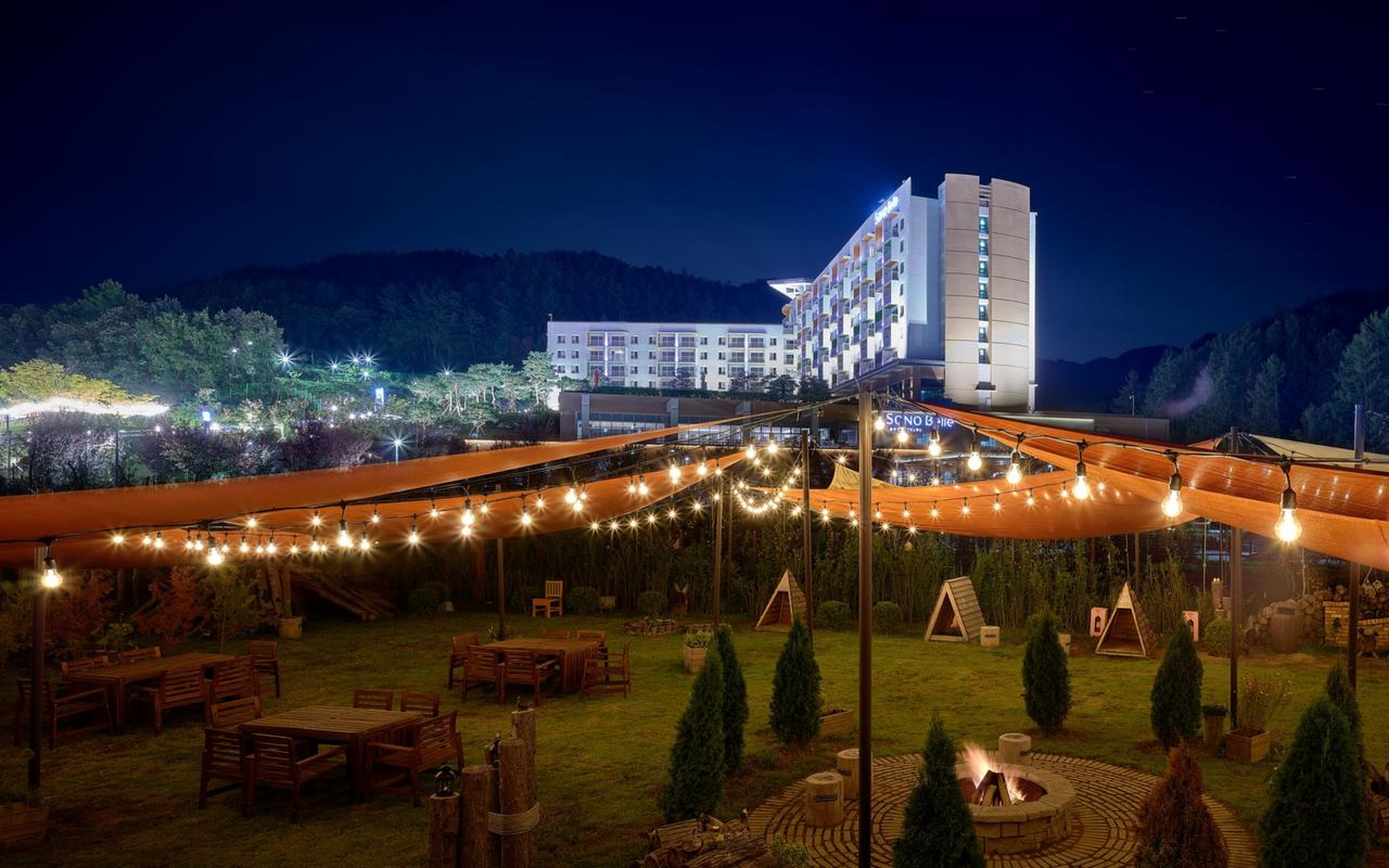 청송 소노벨 호텔 야경 청송 소노벨 호텔 야경