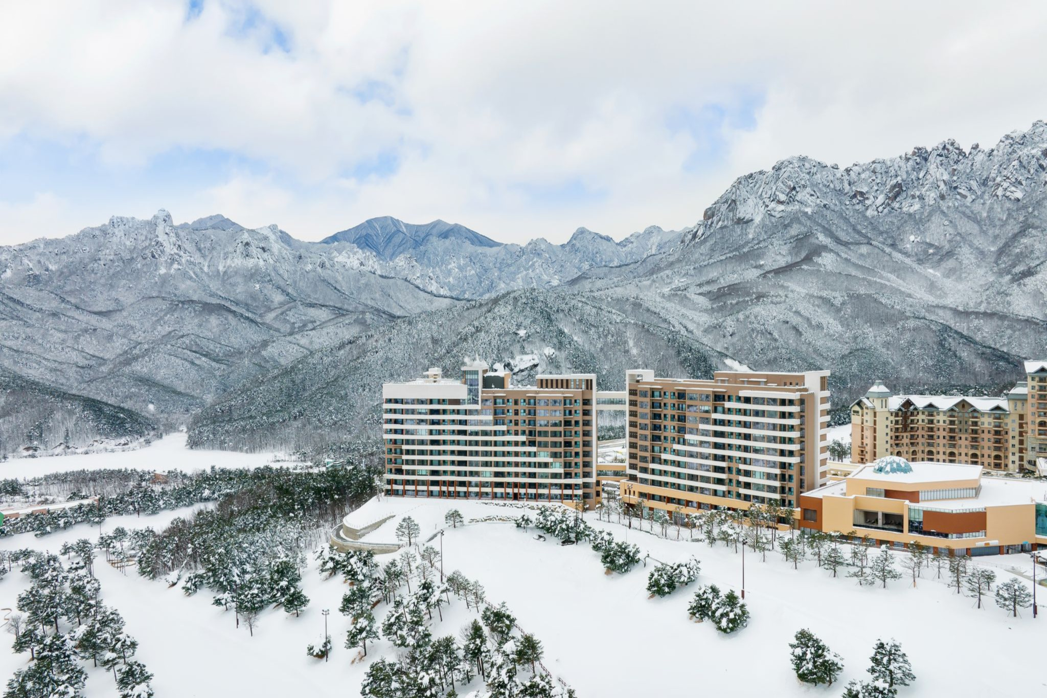 소노펠리체 델피노