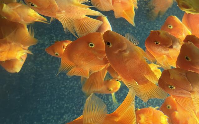 리뷰 대표 이미지