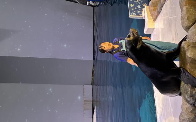 리뷰 대표 이미지