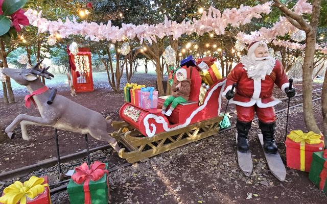 리뷰 대표 이미지