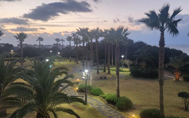 리뷰 대표 이미지