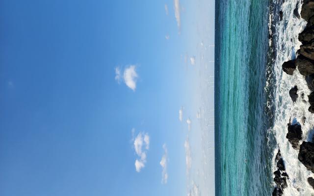 리뷰 대표 이미지