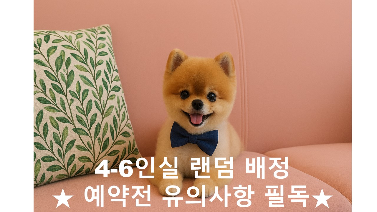 반려동물 동반 랜덤 배정 ROOM ONLY