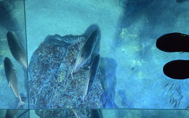 리뷰 대표 이미지