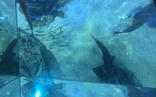 리뷰 대표 이미지