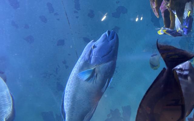 리뷰 대표 이미지