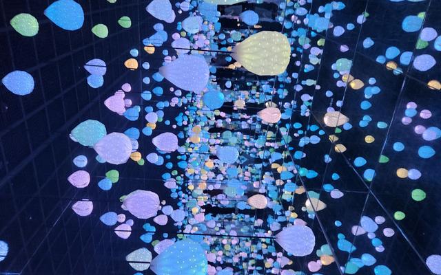 리뷰 대표 이미지