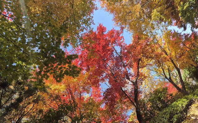 리뷰 대표 이미지