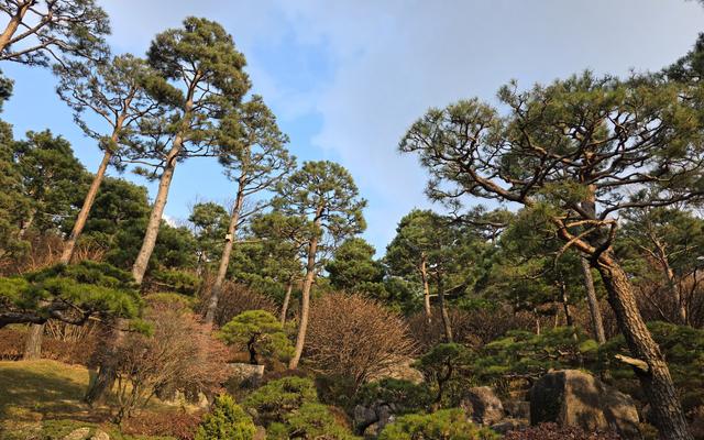 리뷰 대표 이미지