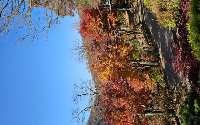 리뷰 대표 이미지