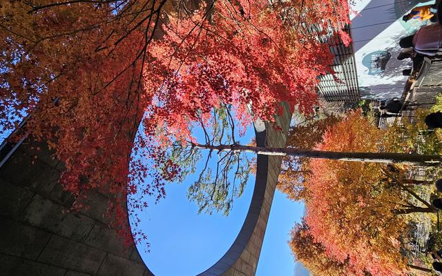 리뷰 대표 이미지