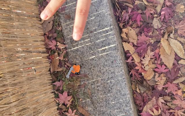 리뷰 대표 이미지