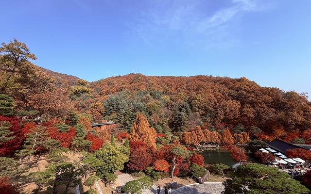 리뷰 대표 이미지