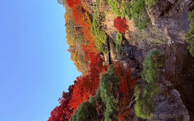 리뷰 대표 이미지