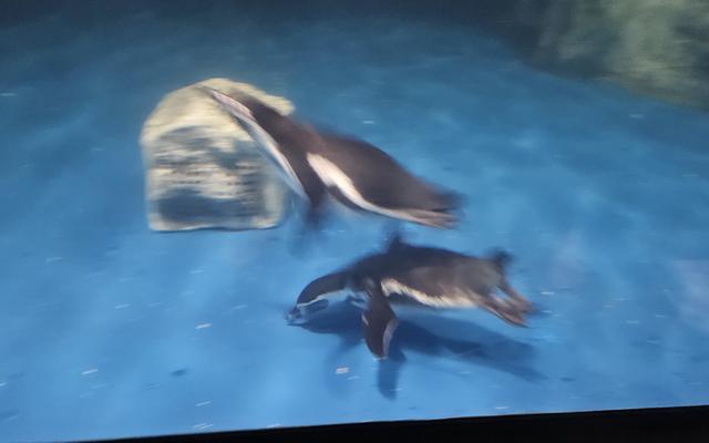 리뷰 대표 이미지