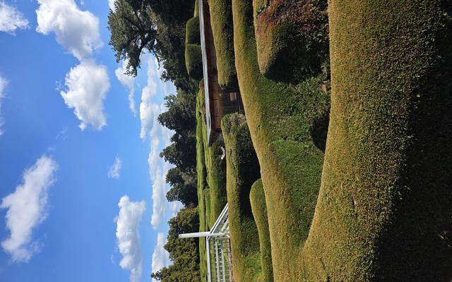 리뷰 대표 이미지