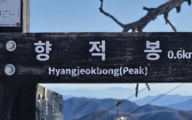 리뷰 대표 이미지