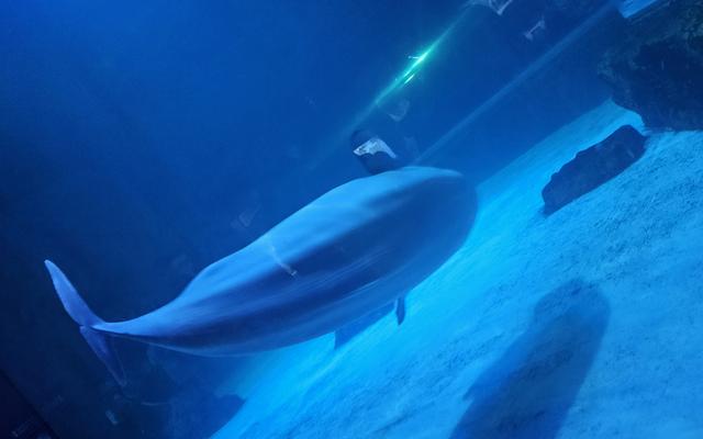 리뷰 대표 이미지