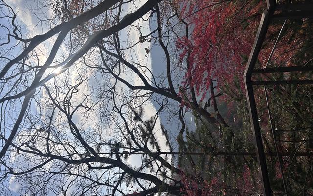 리뷰 대표 이미지