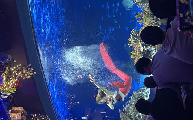 리뷰 대표 이미지