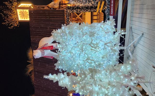 리뷰 대표 이미지