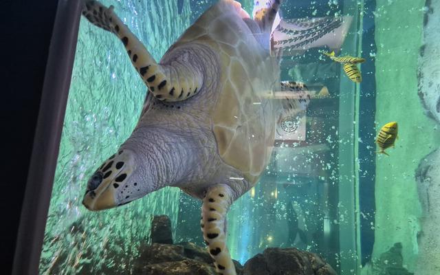 리뷰 대표 이미지