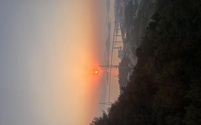 리뷰 대표 이미지