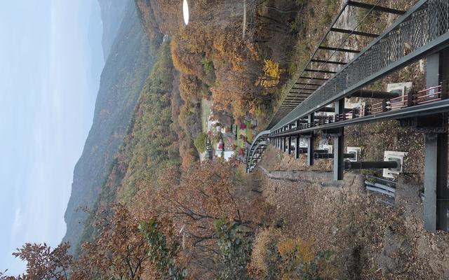 리뷰 대표 이미지