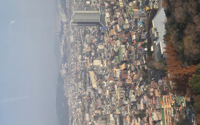 리뷰 대표 이미지