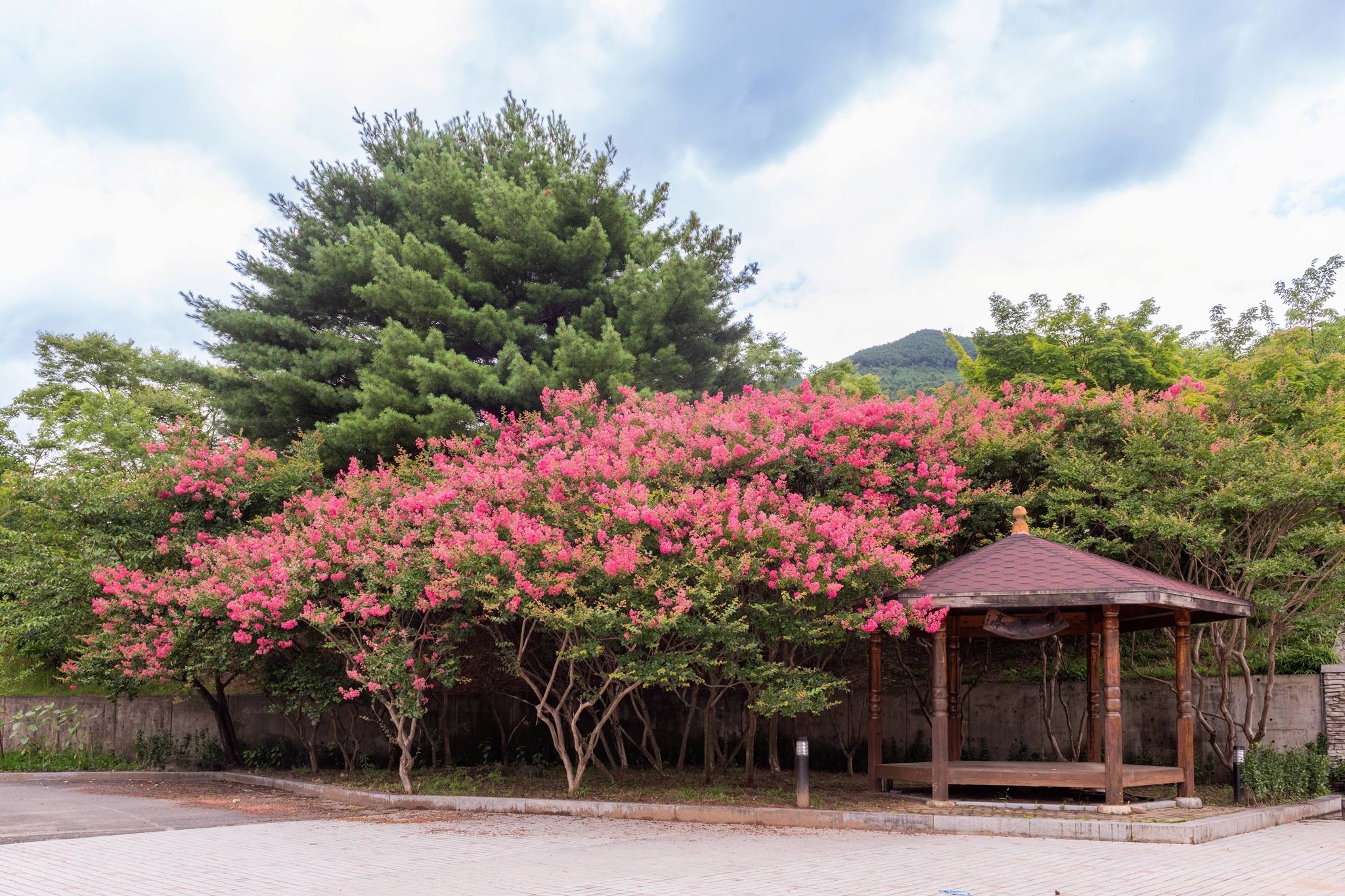 구례지리산리조트 사진