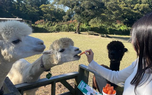 리뷰 대표 이미지